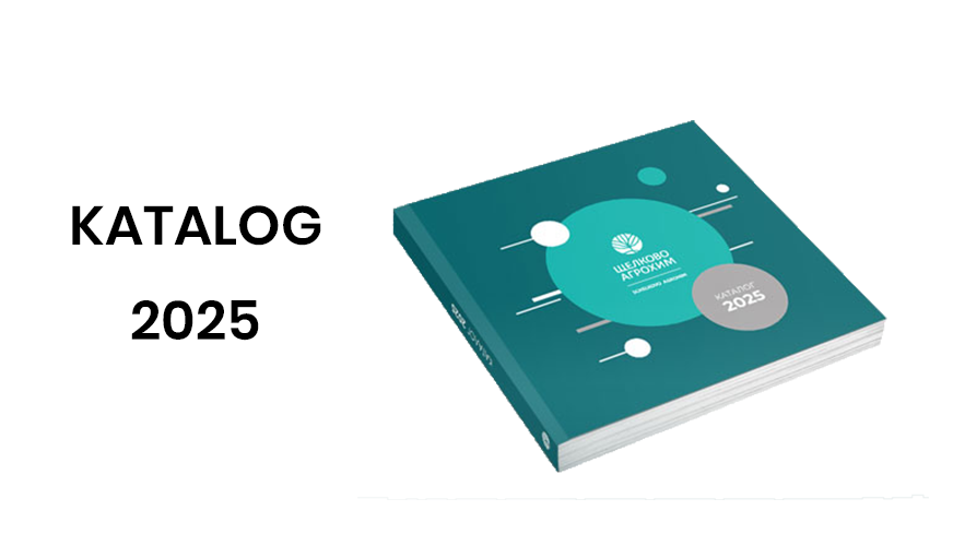 Katalog